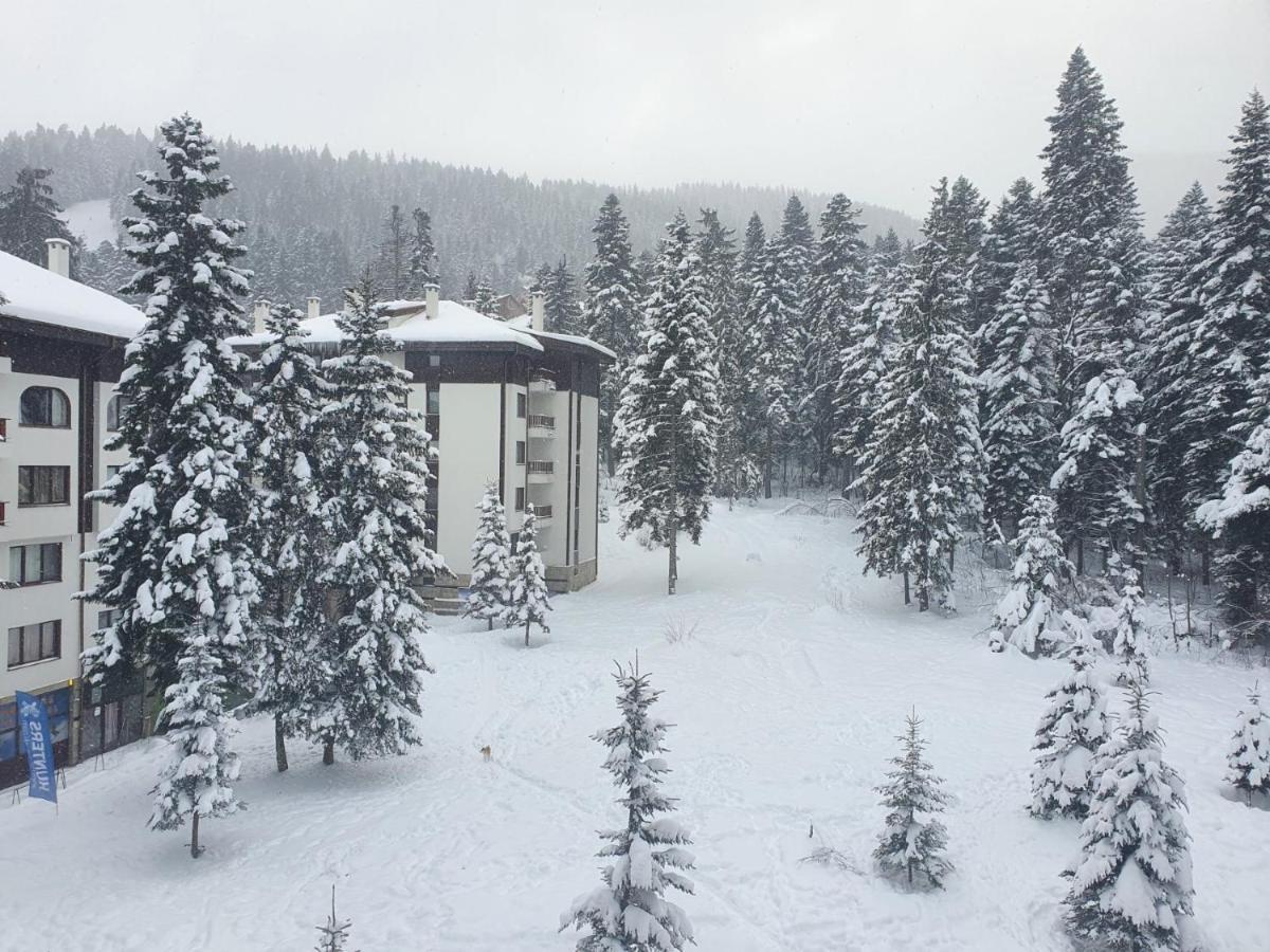 Flora Apartments Tmf Borovets Exterior foto